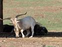 IMG_3928 copy